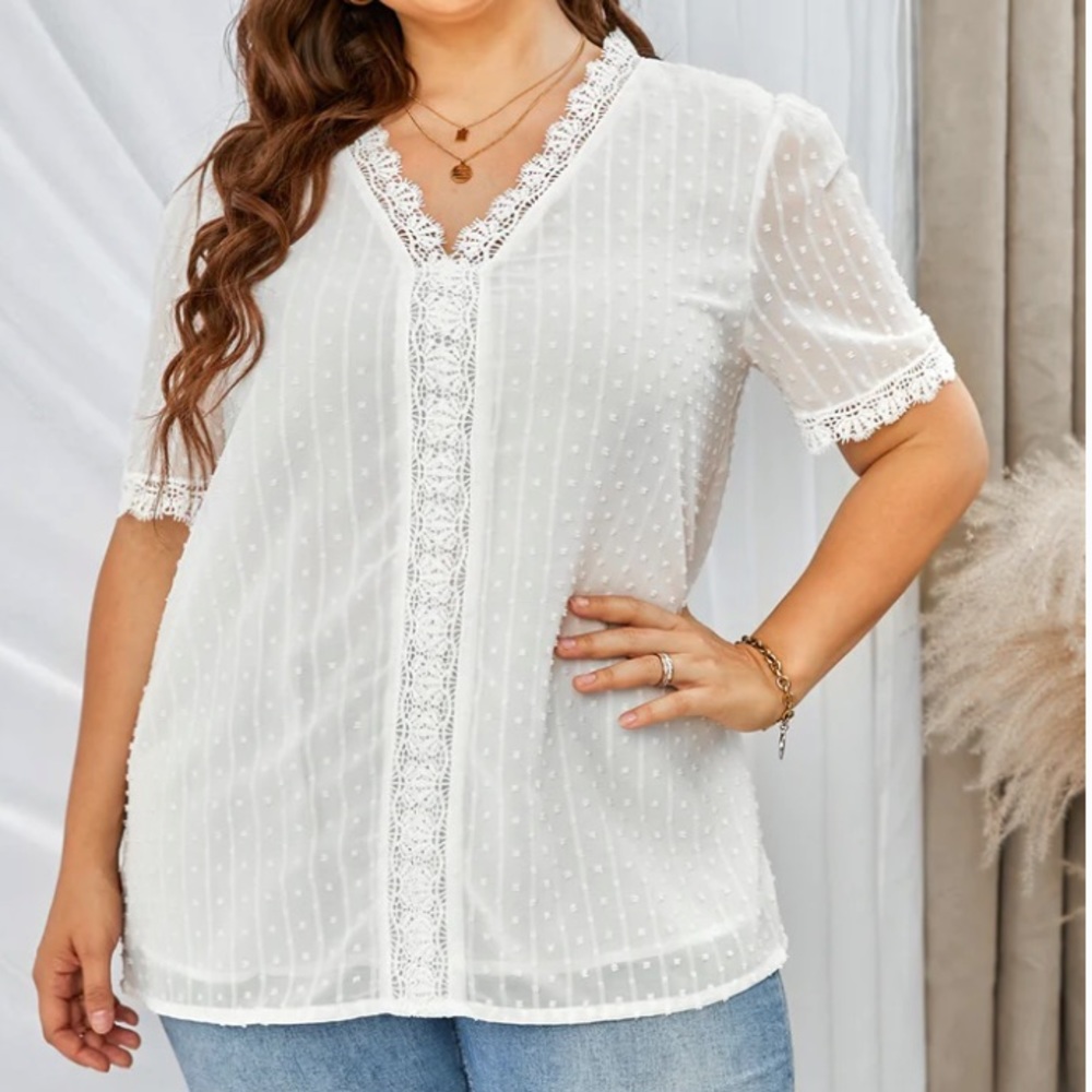 Swiss dot lace short sleeve v neck top